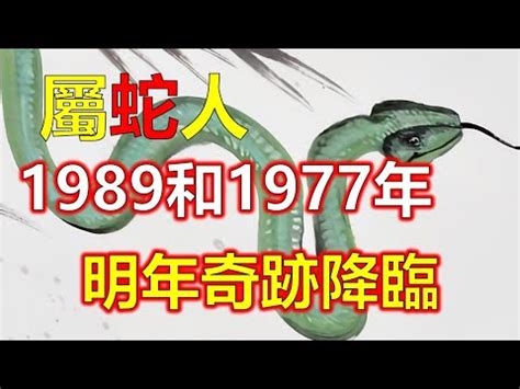 1989水蛇|1989属蛇的五行 1989年属蛇蛇是什么命